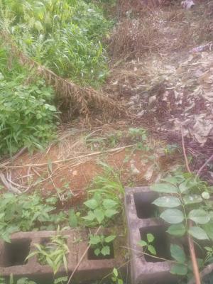 Standard Half Plot of Land at Mogana Axis Elebu Ibadan, Mogana Axis Elebu Off Akala Express Oluyole Extension Ibadan, Ibadan, Oyo, Mixed-use Land for Sale