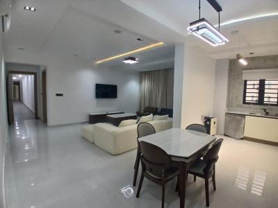 Spacious Stunning 3 Bedroom Furnished Apartment, Lekki, Lekki Phase 1, Lekki, Lagos, Flat / Apartment for Sale