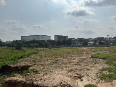 3933sqm Commercial Land, Gudu, Gudu, Abuja, Commercial Property for Sale