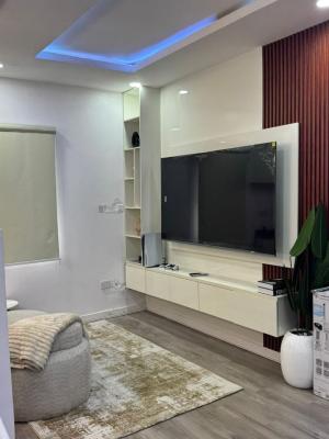 Nice Comfortable Furnished 1 Bedroom Duplex, in a Call to Access Estate, Ikate Elegushi, Lekki, Lagos, Mini Flat (room and Parlour) for Rent