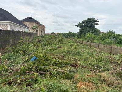 Prime Land with Excellent Appreciation Potential, Addo Roundabout,  Ajah., Ajah, Lagos, Residential Land for Sale