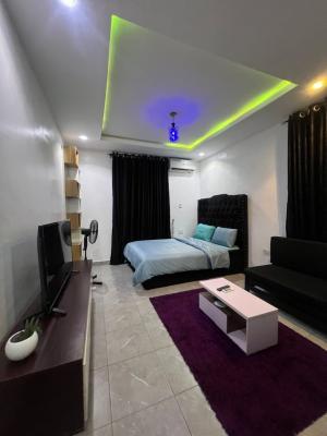 Serviced Furnished Monthly Stay Studio Apartment, Jibowu, Yaba, Lagos, Self Contain (single Rooms) for Rent
