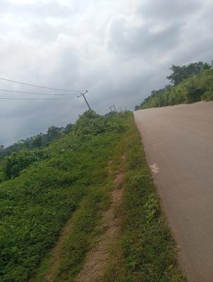 15acres of Farmland, Along Osogbo/iwo Road Osuntedo, Osogbo, Osun, Commercial Land for Sale