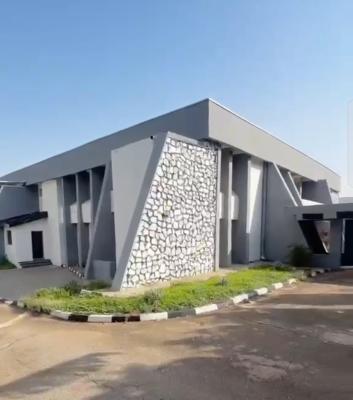 Brand New 9 Bedroom Fully Duplex with Bq at Asokoro ., Asokoro District, Abuja, Detached Duplex for Rent