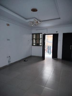 Executive 2 Bedrooms Flat, Ajao Estate, Anthony, Maryland, Lagos, Flat / Apartment for Rent