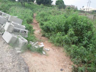 Hot: 1,500sqm Guzape 2 with C of O, Guzape 2, Guzape District, Abuja, Residential Land for Sale