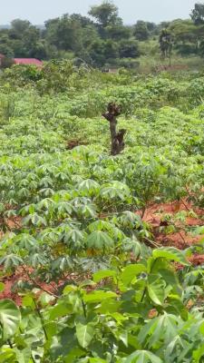 4 Plots of Land, Ebenebe Awka North L.g.a, Awka, Anambra, Mixed-use Land for Sale