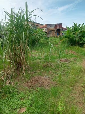 Complete Full Plot of Land, Before Bankole Estate Magboro, Magboro, Ogun, Mixed-use Land for Sale