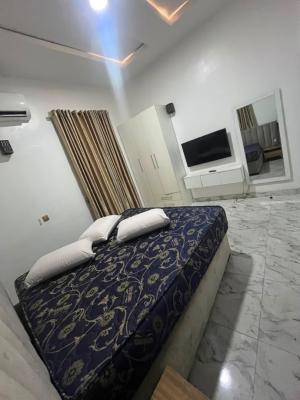 2 Units of Fully Furnished Ensuit Bedroom Upstairs, Raufu Obitayo Street, Idado, Lekki, Lagos, Semi-detached Duplex for Rent