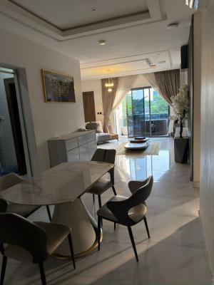 Fully Serviced 2 Bedroom Flat with 24hrs Power Supply, Freedom Way, Lekki Phase 1, Lekki, Lagos, Flat / Apartment for Rent
