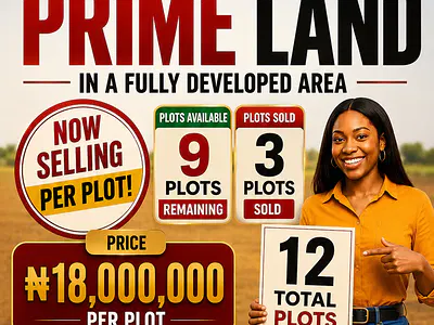 12 Plots of Land