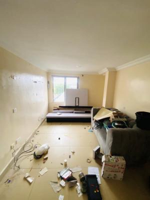 Well Fitted 1 Bed Serviced Apartment, Ikate, Lekki, Lagos, Mini Flat (room and Parlour) for Rent
