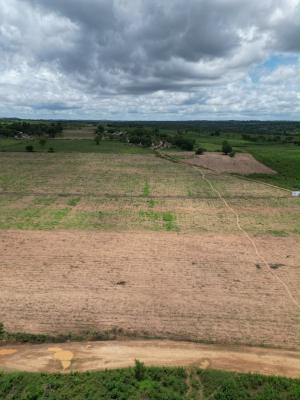 Dry Acres of Land for Farming, Abeokuta North, Ogun, Commercial Land for Sale