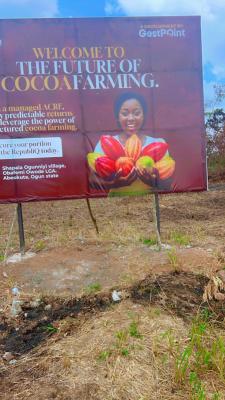 Cocoa Farm Land, Shapala Village, Obafemi Owode, Ogun, Commercial Land for Sale