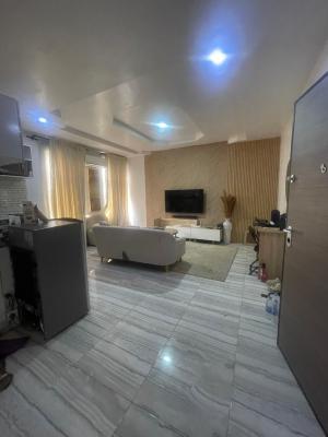a Spacious One Bedroom Apartment By Chevron Lekki, Chevron Drive., Lekki Phase 2, Lekki, Lagos, Mini Flat (room and Parlour) for Rent