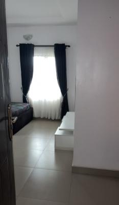 Luxury Shared Apartment (2 Bedroom). Just 2 Tenants., Igbo Efon, Lekki, Lagos, Flat / Apartment for Rent
