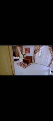 Fully Furnished and Serviced 2 Bedroom, Behind Blenco, Ikate, Lekki, Lagos, Flat / Apartment for Sale