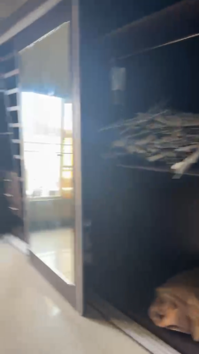Three Bedroom Apartment with Bq, Lekki Phase 1, Lekki, Lagos, Flat / Apartment for Rent