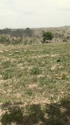 10 Hectares Plot of Land