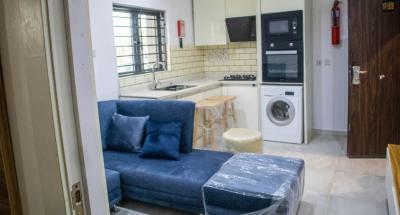 Premium Semi Furnished 1-bedroom Apartment, Amore Garden, Lekki Phase 1, Lekki, Lagos, Mini Flat (room and Parlour) for Rent