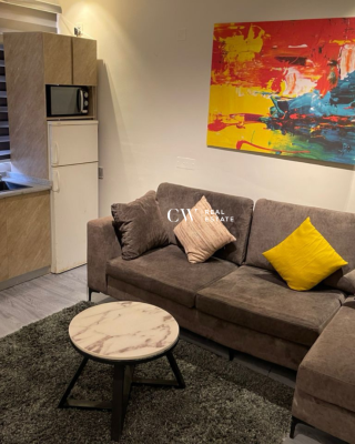 1 Bedroom Apartment in Lekki Phase 1, Lekki Phase 1, Lekki, Lagos, Flat / Apartment for Rent