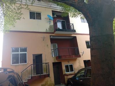 Beautiful and Serviced 2 Bedroom Apartment, Lekki Phase 1, Lekki, Lagos, Flat / Apartment for Rent