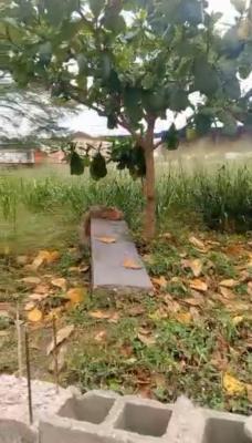 a Strategically Fenced and Gated Land, Agidingbi, Ikeja, Lagos, Mixed-use Land for Sale