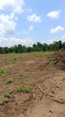 Commercial Dry Table Land Along Badagry Express Road Lagos By Mtn Bus, Along Badagry Express Way Lagos, Ojo, Lagos, Commercial Land for Sale
