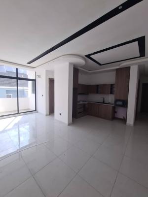 a Newly Built & Well Finished  2 Bedroom  Apartment, Ikate Elegushi, Lekki, Lagos, Flat / Apartment for Rent