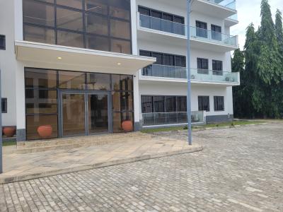 Corporate Lease Furnished 3 Bedroom Apartment with Bq, Asokoro District, Abuja, Flat / Apartment for Rent