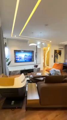 Furnished 2 Bedroom Apartment with Swimming Pool, Elevator,gym, 24hrs, Brown Stone Estate, Ikate, Lekki, Lagos, Flat / Apartment for Sale