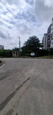 Prime 1000 Sqm Plot, Ikate Elegushi, Lekki, Lagos, Residential Land for Sale