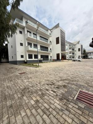 a Newly Built 3bedroom Apartment with Bq, Asokoro Main, Asokoro District, Abuja, Flat / Apartment for Rent