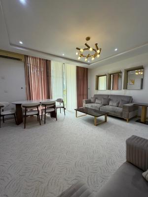 Luxury 1 Bedroom Apartment, Ikoyi, Lagos, Mini Flat (room and Parlour) for Rent
