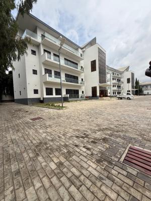 Luxury and Serviced 3bedroom Apartment with Bq Is Available for in, Asokoro, Asokoro District, Abuja, Flat / Apartment for Rent