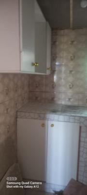 Mini Flat, Goodnews Estate, Sangotedo, Ajah, Lagos, Mini Flat (room and Parlour) for Rent