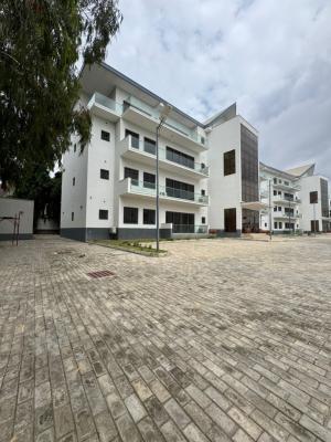a Newly Built 4bedrooms Penthouse Fully Furnished, Asokoro, Asokoro District, Abuja, Flat / Apartment for Rent