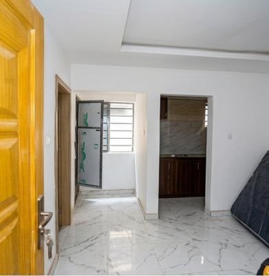 Standard Miniflat Ground Floor Unit