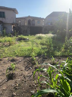 Residential Plot of Land, By Agric Bus Stop Isawo Road, Agric, Ikorodu, Lagos, Residential Land for Sale