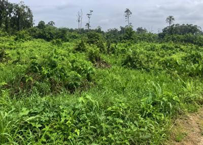 2 Units 450SQM Residential Plot Available
