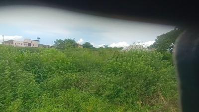 Full Plot of Land in an Estate