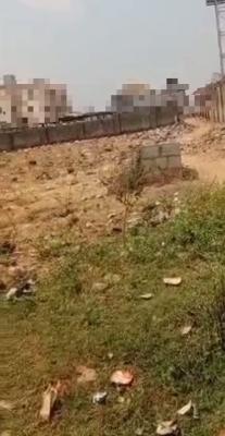 50 Hectares of Land