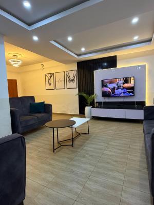 Fully Furnished 2 Bedroom Apartment