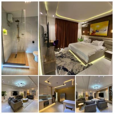 Fully Furnished 3 Bedroom Apartment, 2nd Floor, Swimming Pool and Elevator
