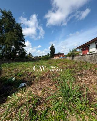 Corner Piece Residential Land in Lekki