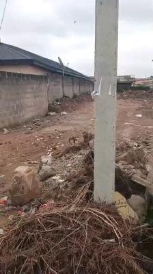 Compact Half Plot of Land with Reg. Survey