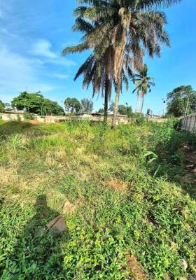 6, 800 SQM Land