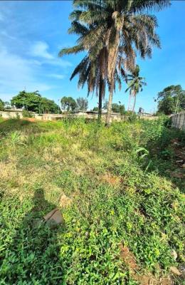 8, 600 SQM Land with Structure