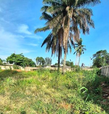 4136SQM Land