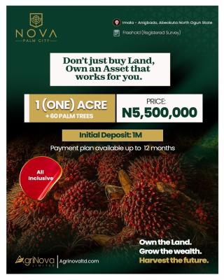 Farm Land: Invest in Palm Oil Production with C of O and Earn Over 80% Yearly — Imala Anigbado, Abeokuta North, Ogun